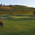 Golf du Beaujolais à Lucenay : fairway bordé de vignes au coucher du soleil