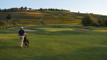 Golf du Beaujolais à Lucenay : fairway bordé de vignes au coucher du soleil